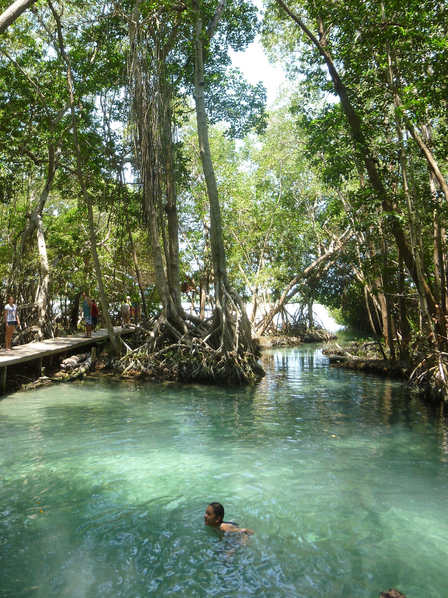 mangrove celestun mexico rondreis rondreizen yucatan vrouwen alleen