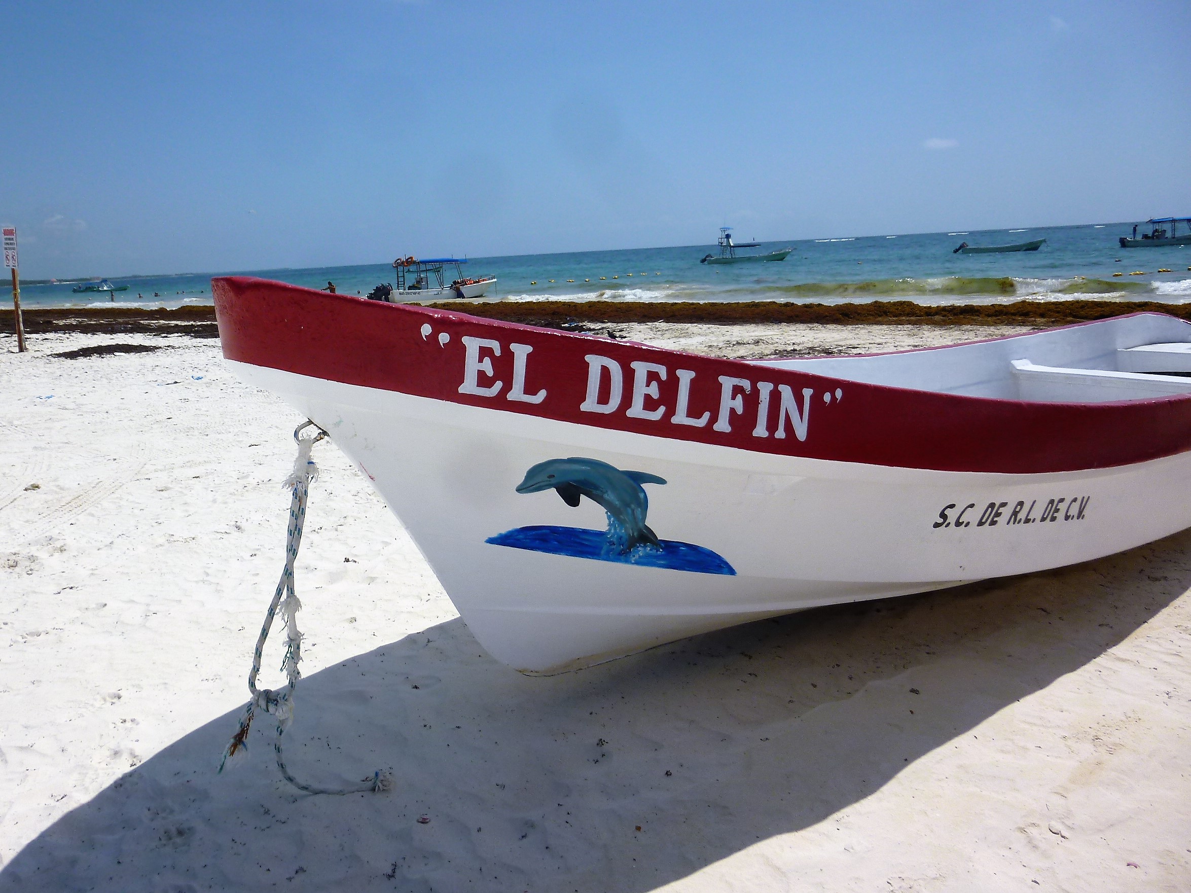 mexico cancun svrine playa de pescadores strand yucatan