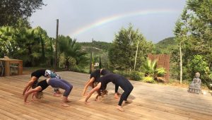 yoga pose brug prashanti yoga retreats