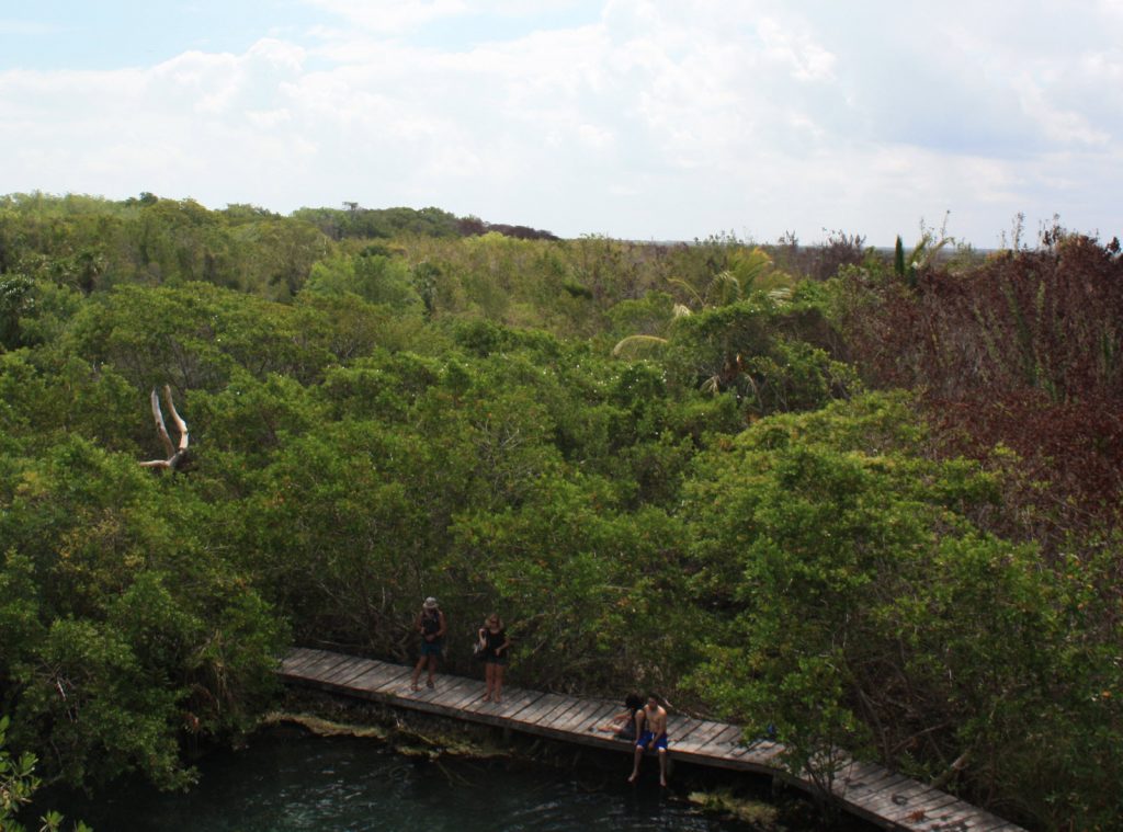 isla Holbox cenote yalahau groen