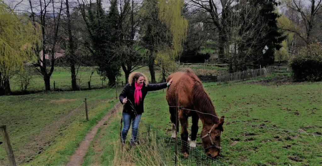 coronavirus villers la ville paard aaien